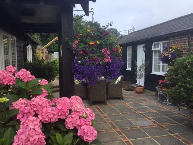 The Coach House Bed and Breakfast Rudgwick Exteriör bild